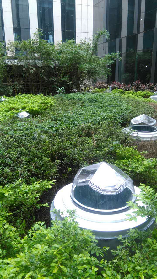 導(dǎo)光管日光照明系統(tǒng)綠化帶應(yīng)用-www.sxajcc.com