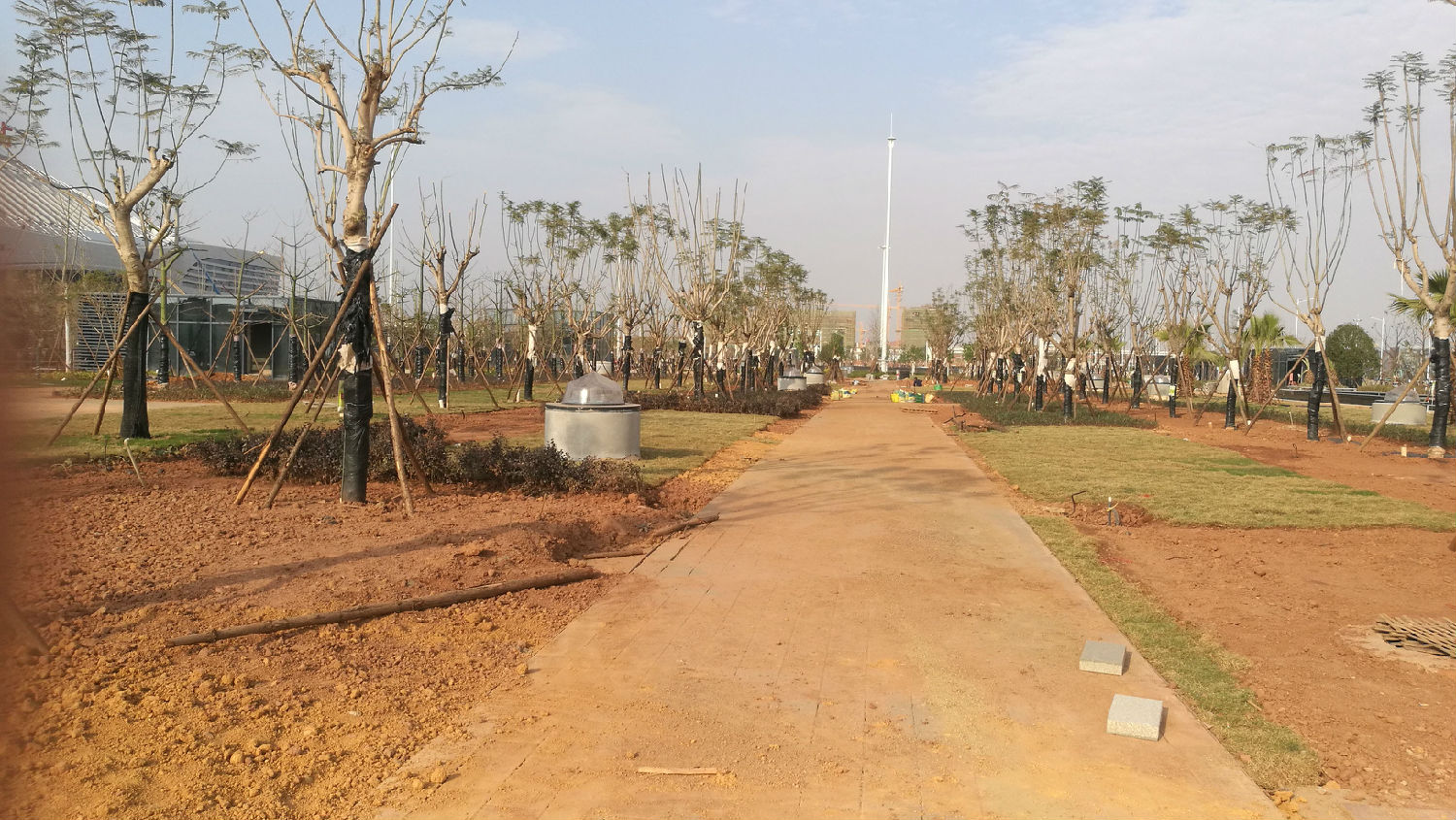 采光陽(yáng)光中 采光陽(yáng)光中